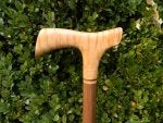Plant Grass Terrestrial plant Wood Vegetation