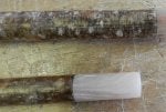 Wood Wall Rectangle Gas Brick