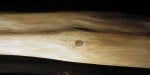 hornbeam_0394.jpg