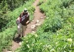 Plant Plant community People in nature Luggage and bags Natural landscape